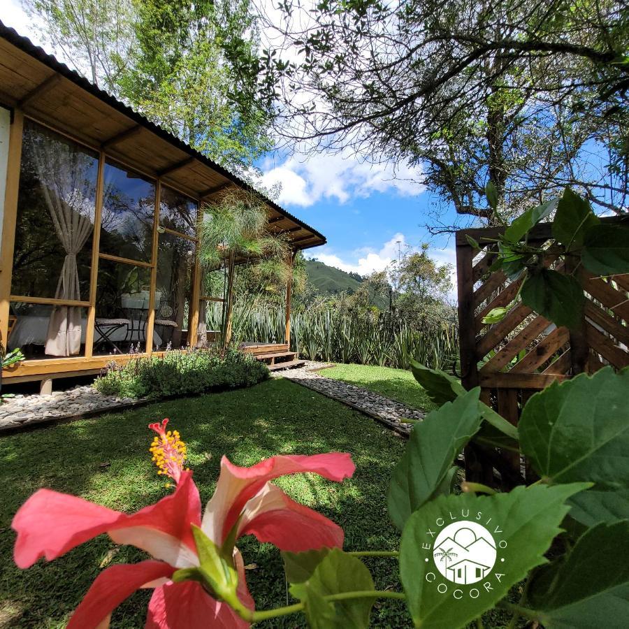 Vila Exclusivo Cocora Con Jacuzzi Salento Quindio Exteriér fotografie