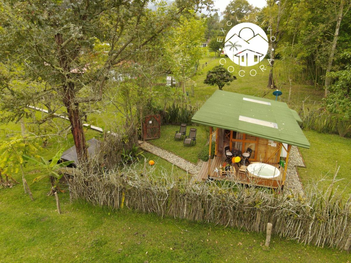 Vila Exclusivo Cocora Con Jacuzzi Salento Quindio Exteriér fotografie