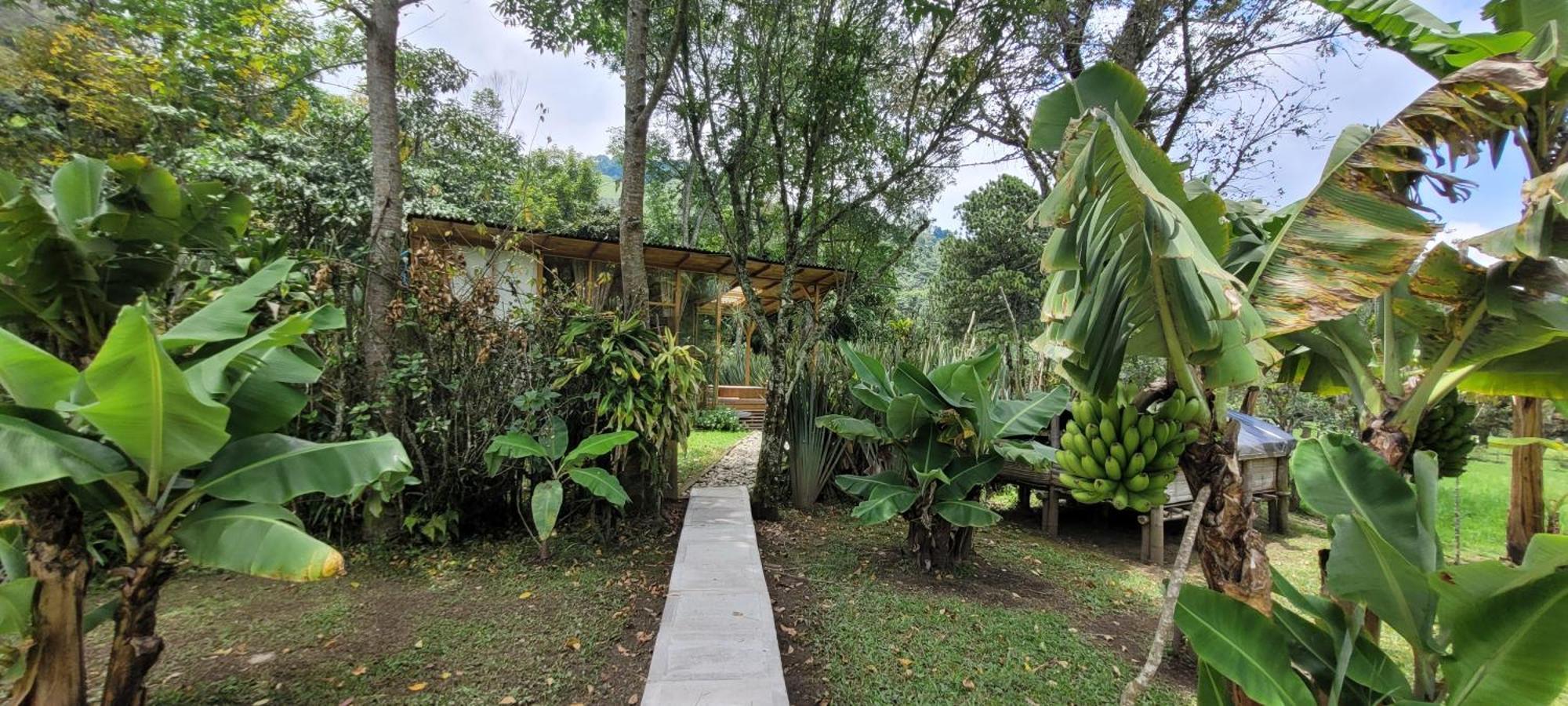Vila Exclusivo Cocora Con Jacuzzi Salento Quindio Exteriér fotografie