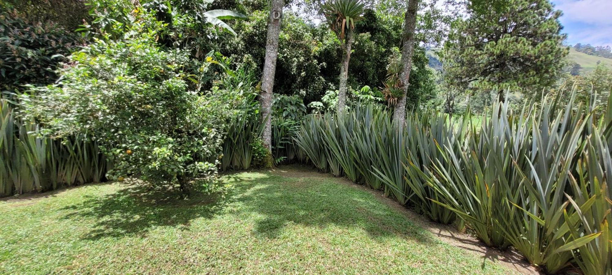 Vila Exclusivo Cocora Con Jacuzzi Salento Quindio Exteriér fotografie