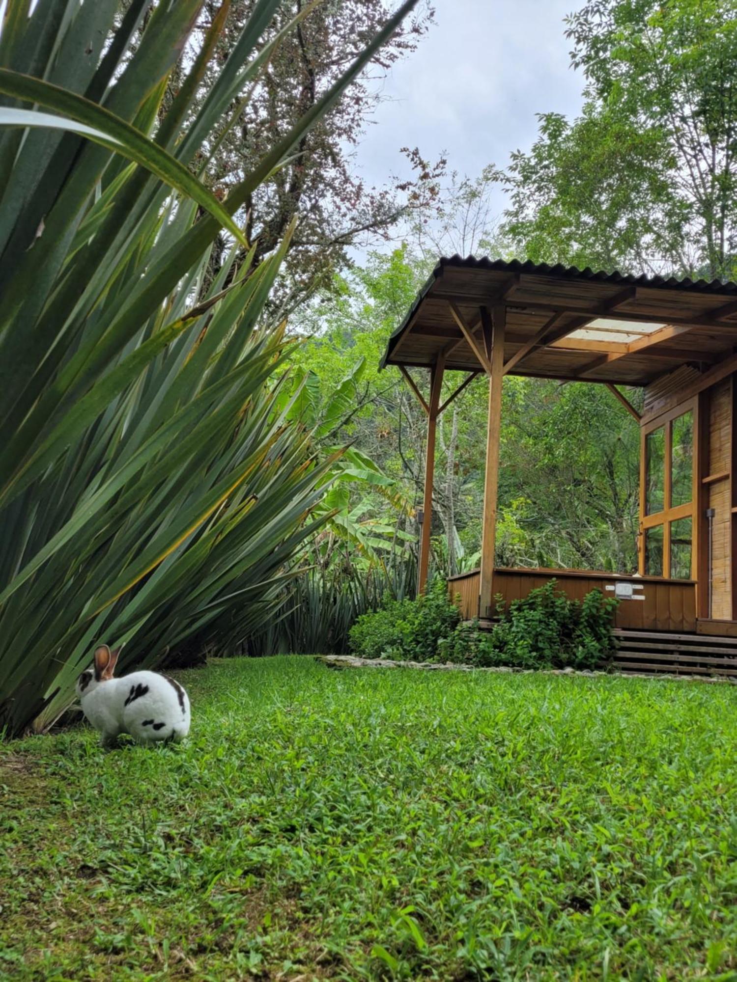 Vila Exclusivo Cocora Con Jacuzzi Salento Quindio Exteriér fotografie